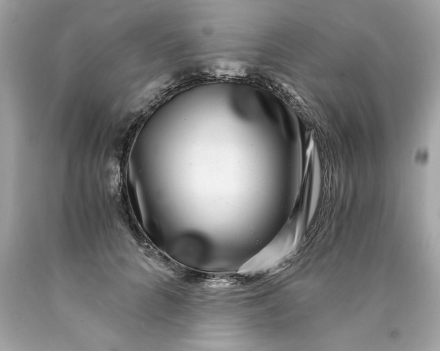 X0000089970704200707202011