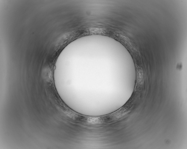 X0000089970705200707202011