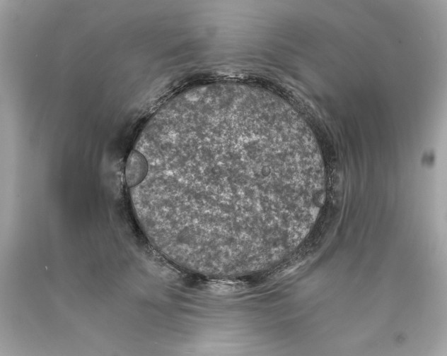 X0000089970707200707202011