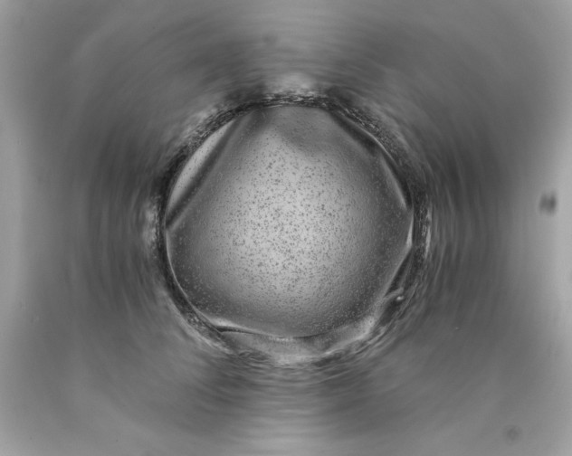 X0000089970708200707202011