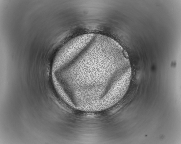 X0000089970710200707202011