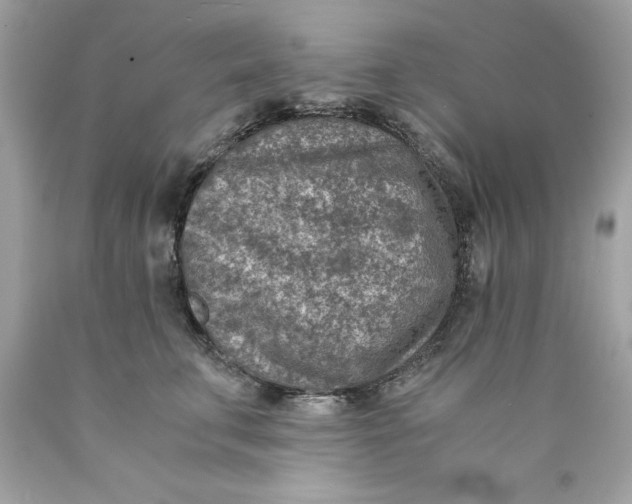 X0000089970711200707202011