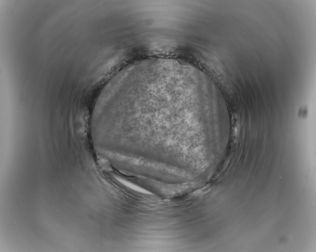 X0000089970712200707202011