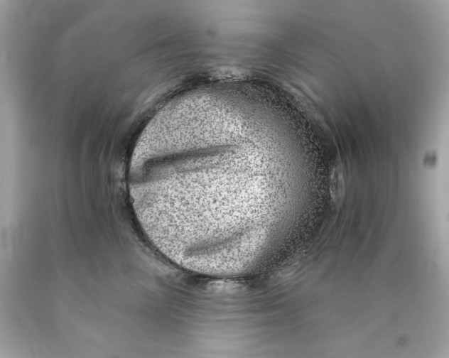 X0000089970714200707202011