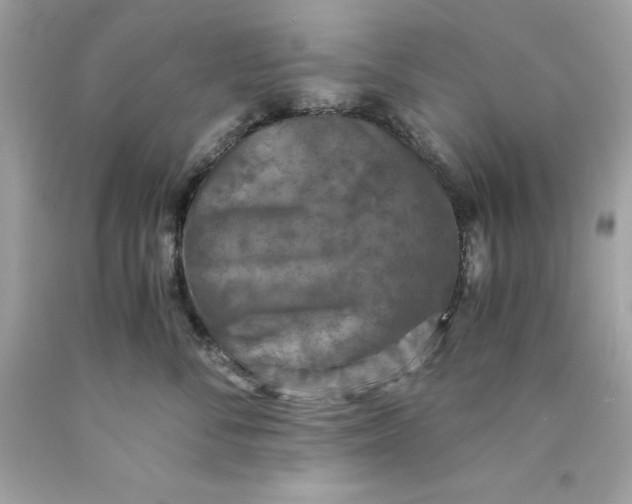 X0000089970716200707202011