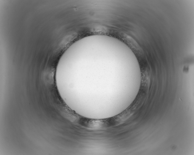 X0000089970717200707202011