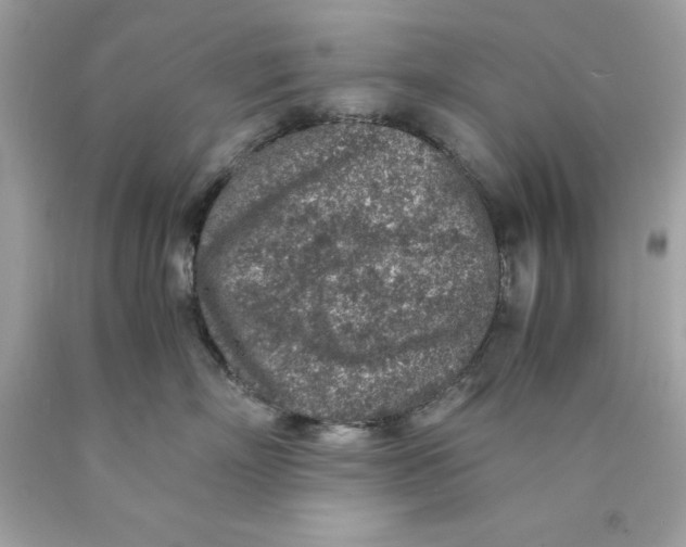 X0000089970718200707202011