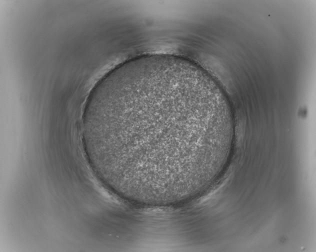 X0000089970721200707202010