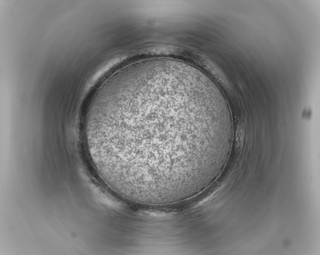 X0000089970722200707202010