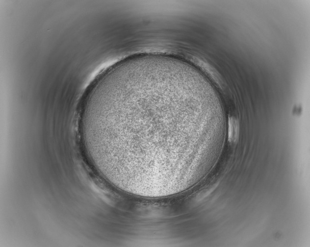 X0000089970723200707202010