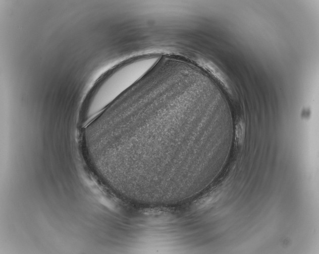 X0000089970724200707202010