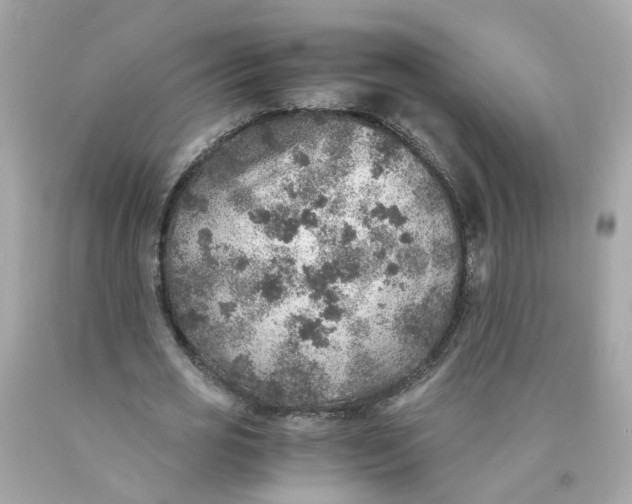 X0000089970725200707202010