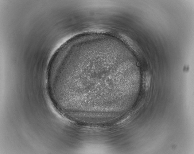 X0000089970726200707202010