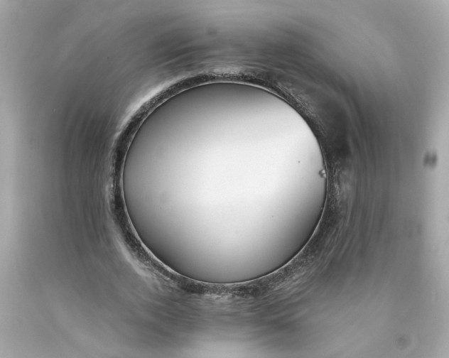 X0000089970728200707202010