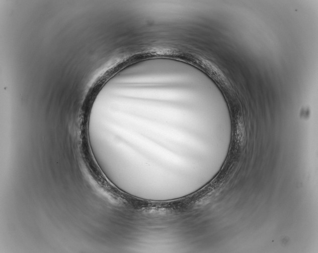 X0000089970730200707202010