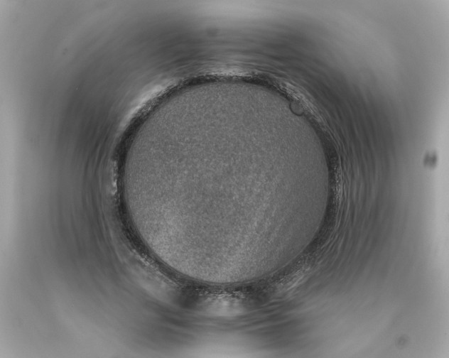 X0000089970731200707202010