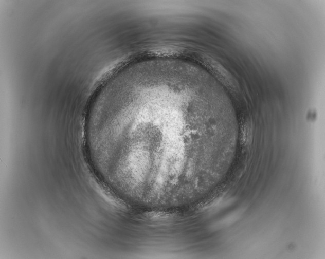 X0000089970733200707202010