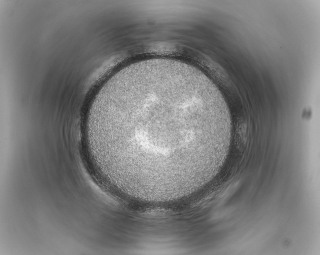 X0000089970734200707202010