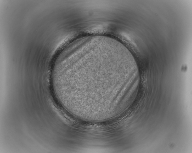 X0000089970735200707202010