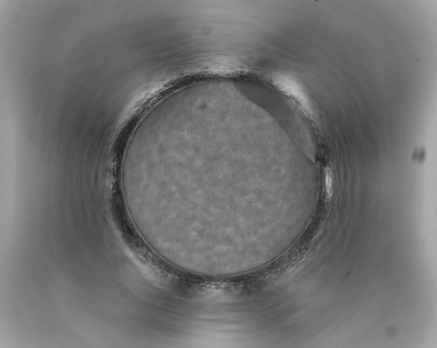 X0000089970736200707202010