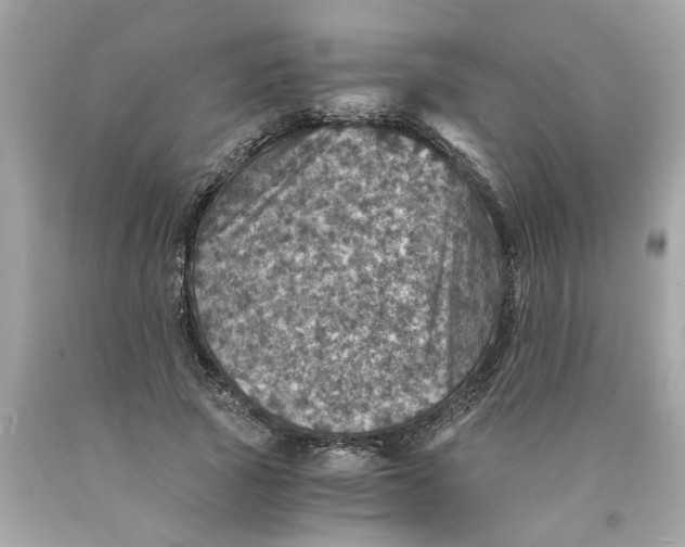 X0000089970737200707202010