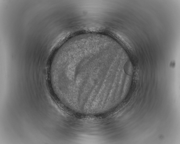 X0000089970738200707202010