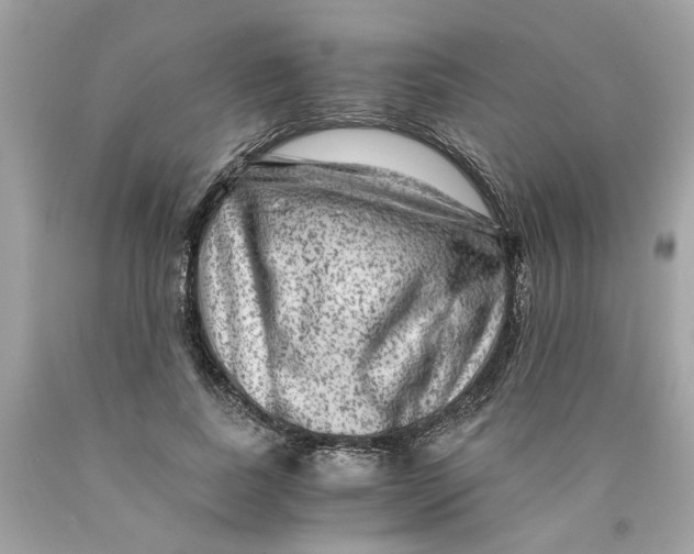 X0000089970739200707202010