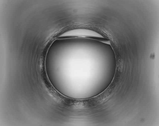 X0000089970740200707202010