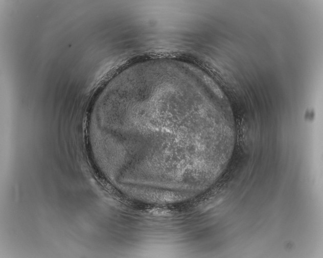 X0000089970742200707202010