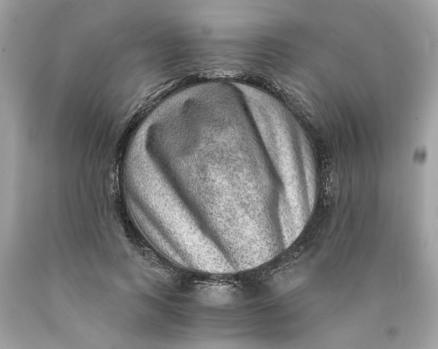 X0000089970743200707202010