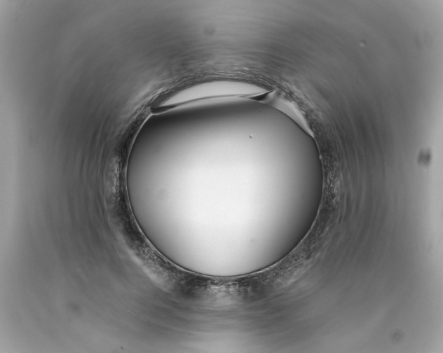 X0000089970744200707202010