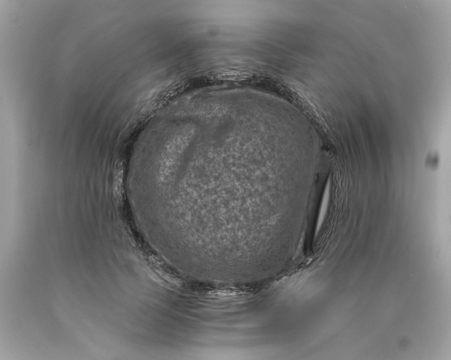 X0000089970745200707202010