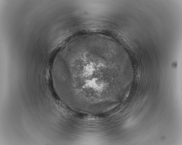 X0000089970746200707202010