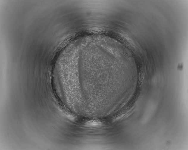 X0000089970749200707202010