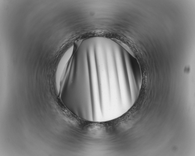 X0000089970750200707202010