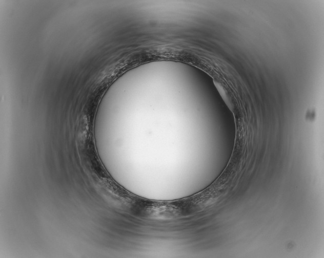 X0000089970752200707202010