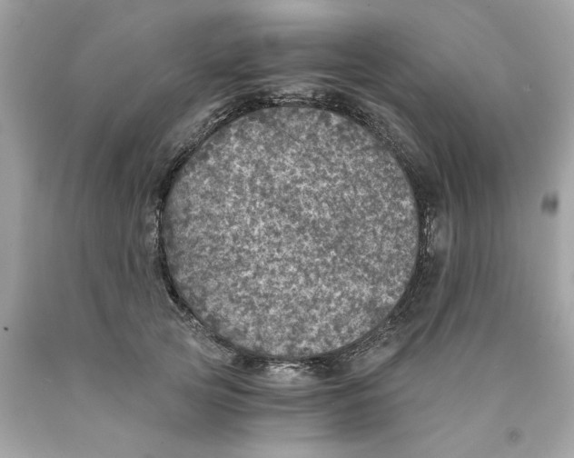 X0000089970753200707202010