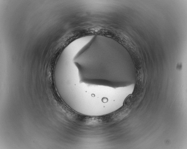 X0000089970754200707202010