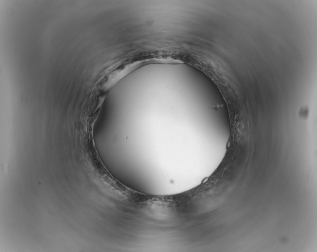 X0000089970756200707202010