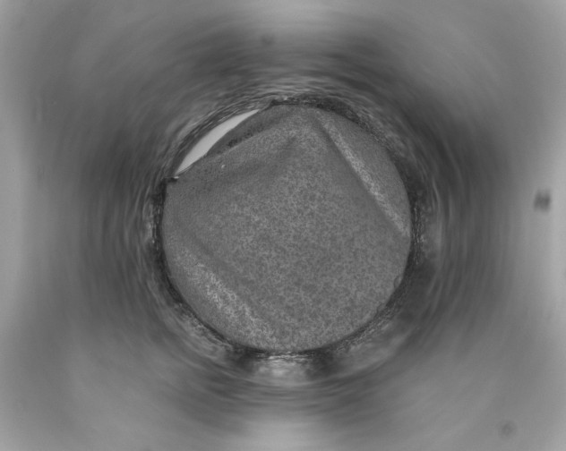 X0000089970758200707202010