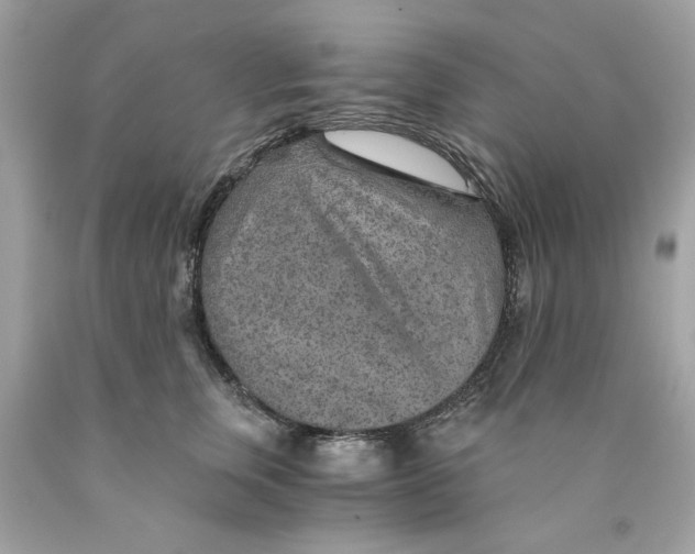 X0000089970759200707202010