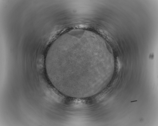 X0000089970760200707202010