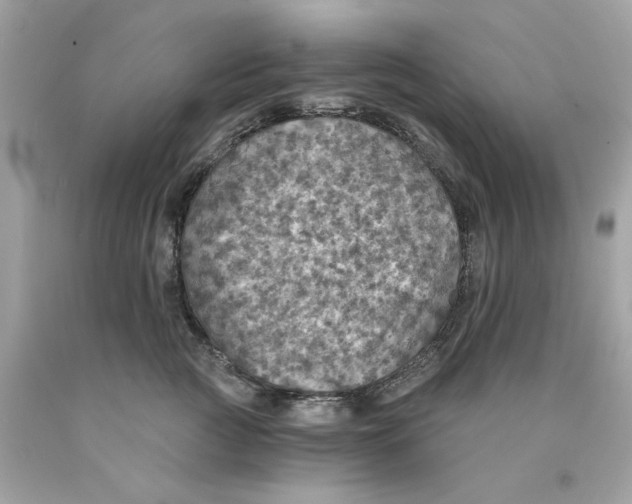 X0000089970761200707202010