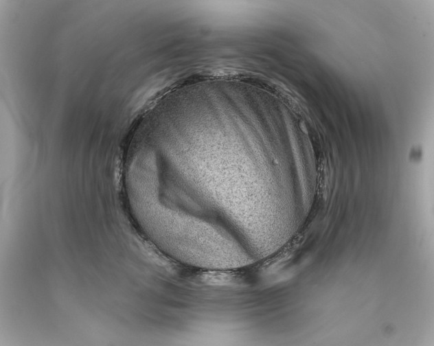 X0000089970762200707202010