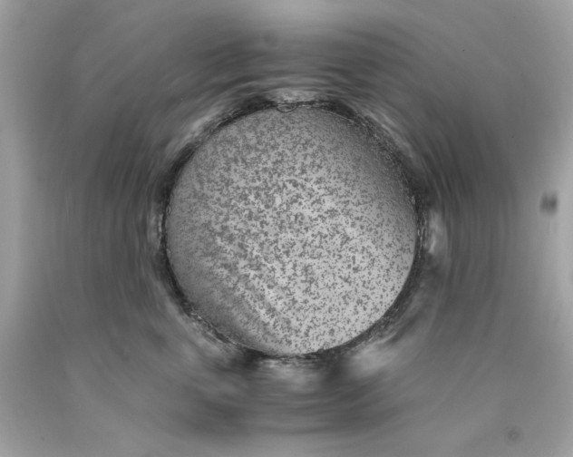 X0000089970763200707202010