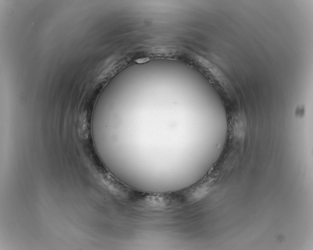 X0000089970764200707202010