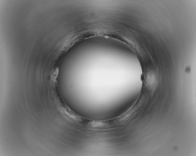 X0000089970766200707202010