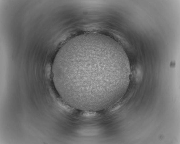 X0000089970767200707202010