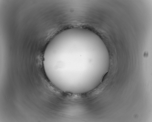 X0000089970768200707202010