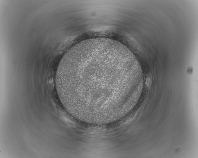 X0000089970771200707202010